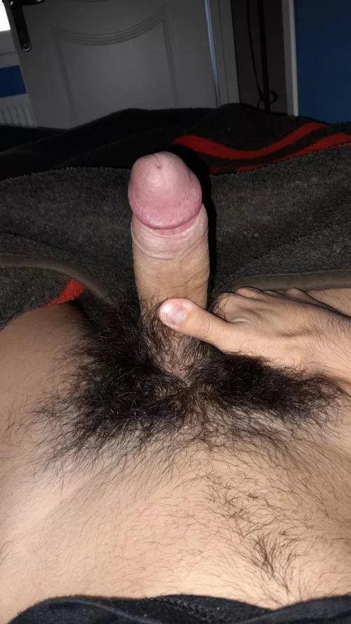 18 years old cock here.Should i shave it by Lucky-Airport1737