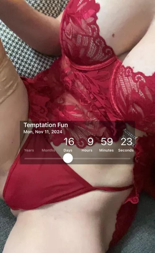 2nd Trip Nov 11-16 by SexySuzy1987