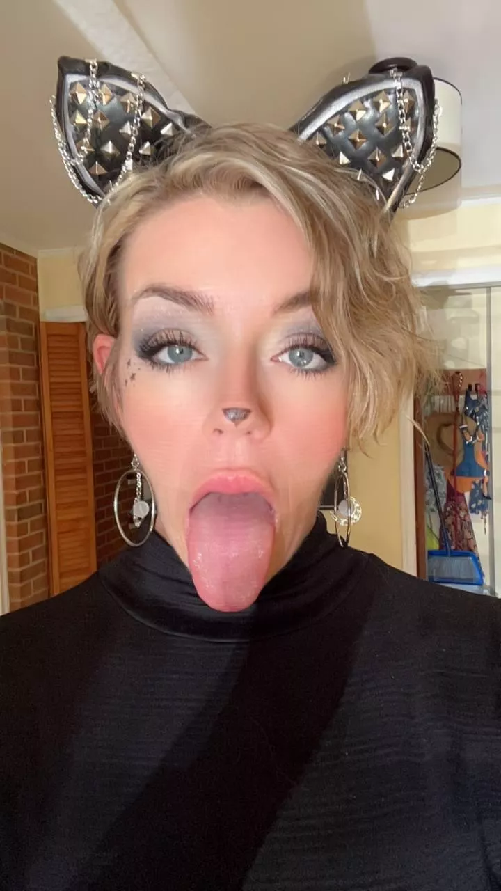 can you make me purr posted by SashaSins555