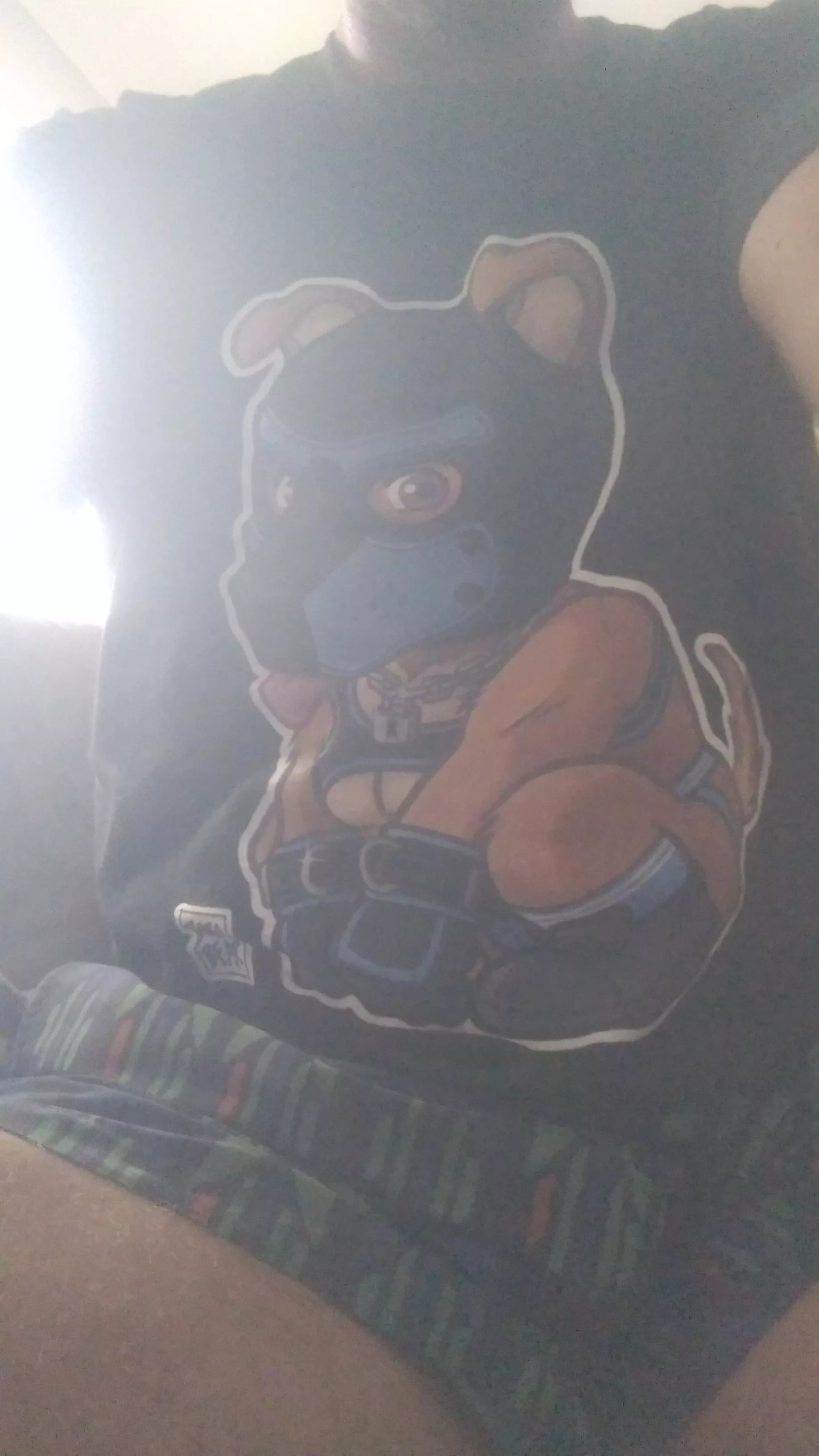 Do you like my shirt dada posted by iamthelostcoyote