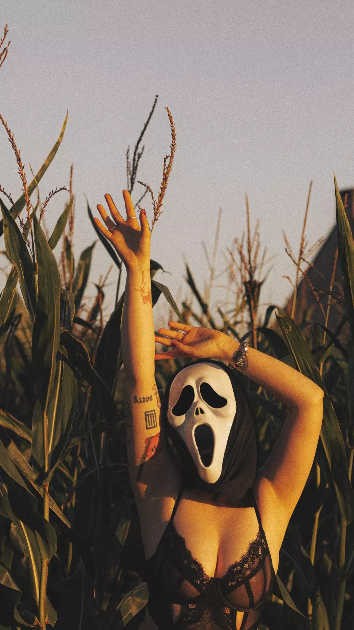 Do you like scary movies?  posted by life-of-russ