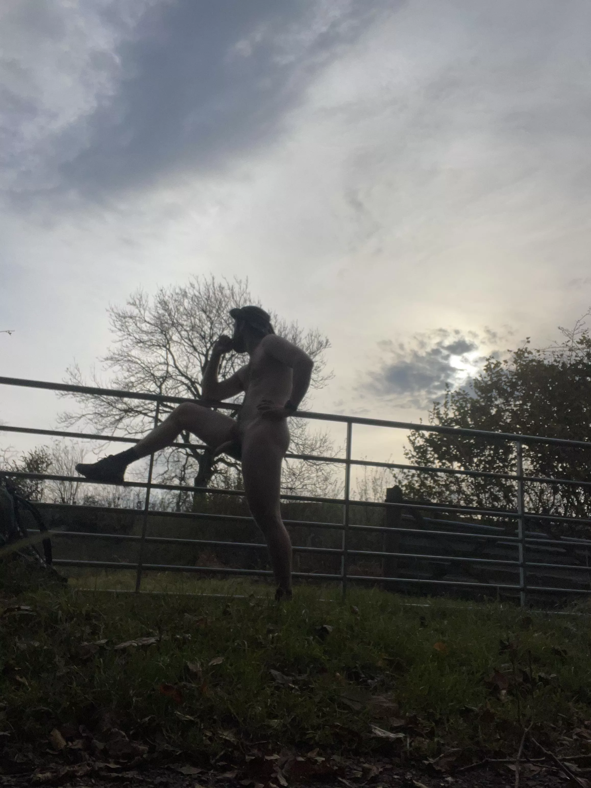 Enjoying the fresh morning sun today in the UK posted by Commercial_Region188