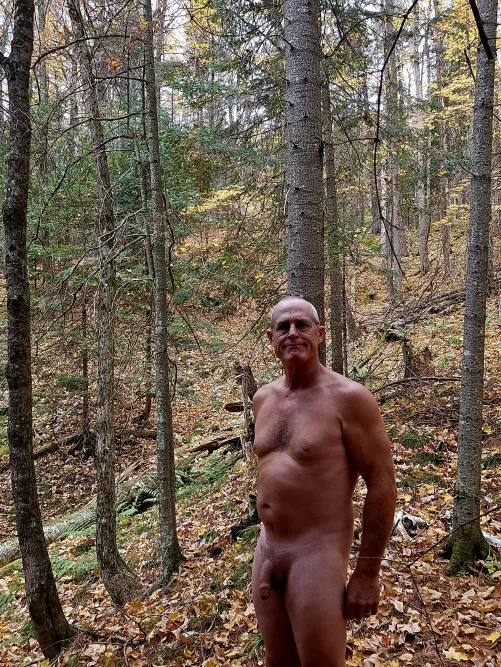 Fall is a great time to be in the woods  by Cultural-Ad7099