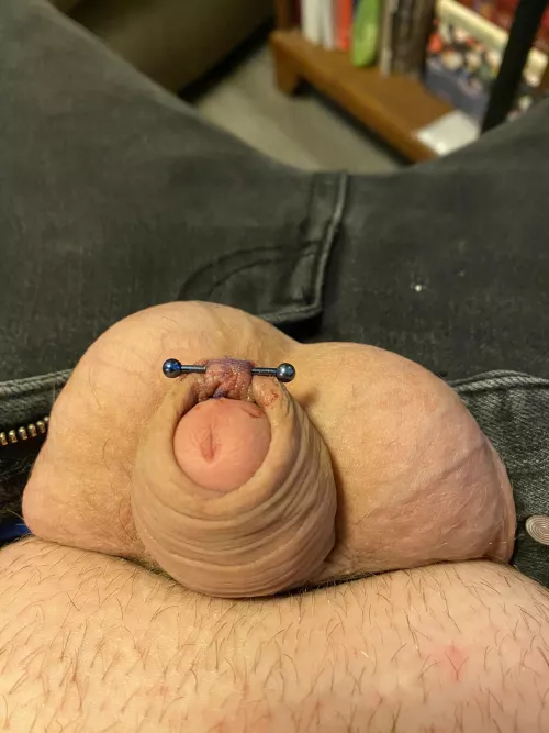 Fresh (less than an hour) old frenulum piercing! by Expensive-Humor-4070