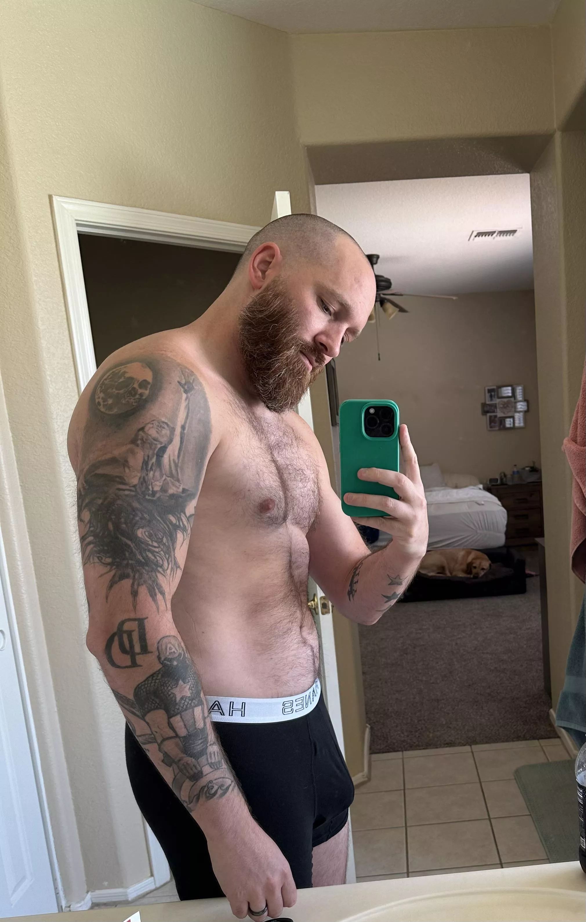 Freshly groomed for the weekend posted by Radphant0ms