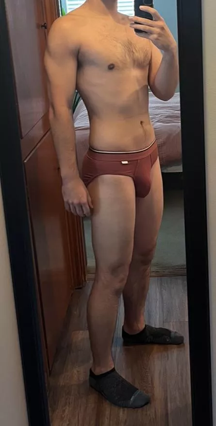 I love walking around all day in these American Eagle briefs posted by Dom2748