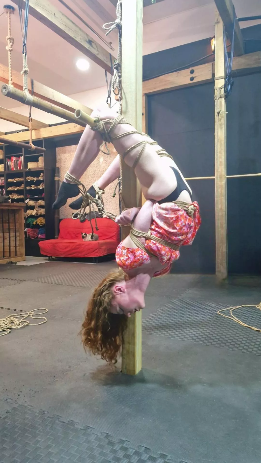 Inversions and backbends🌙 posted by alterskyex