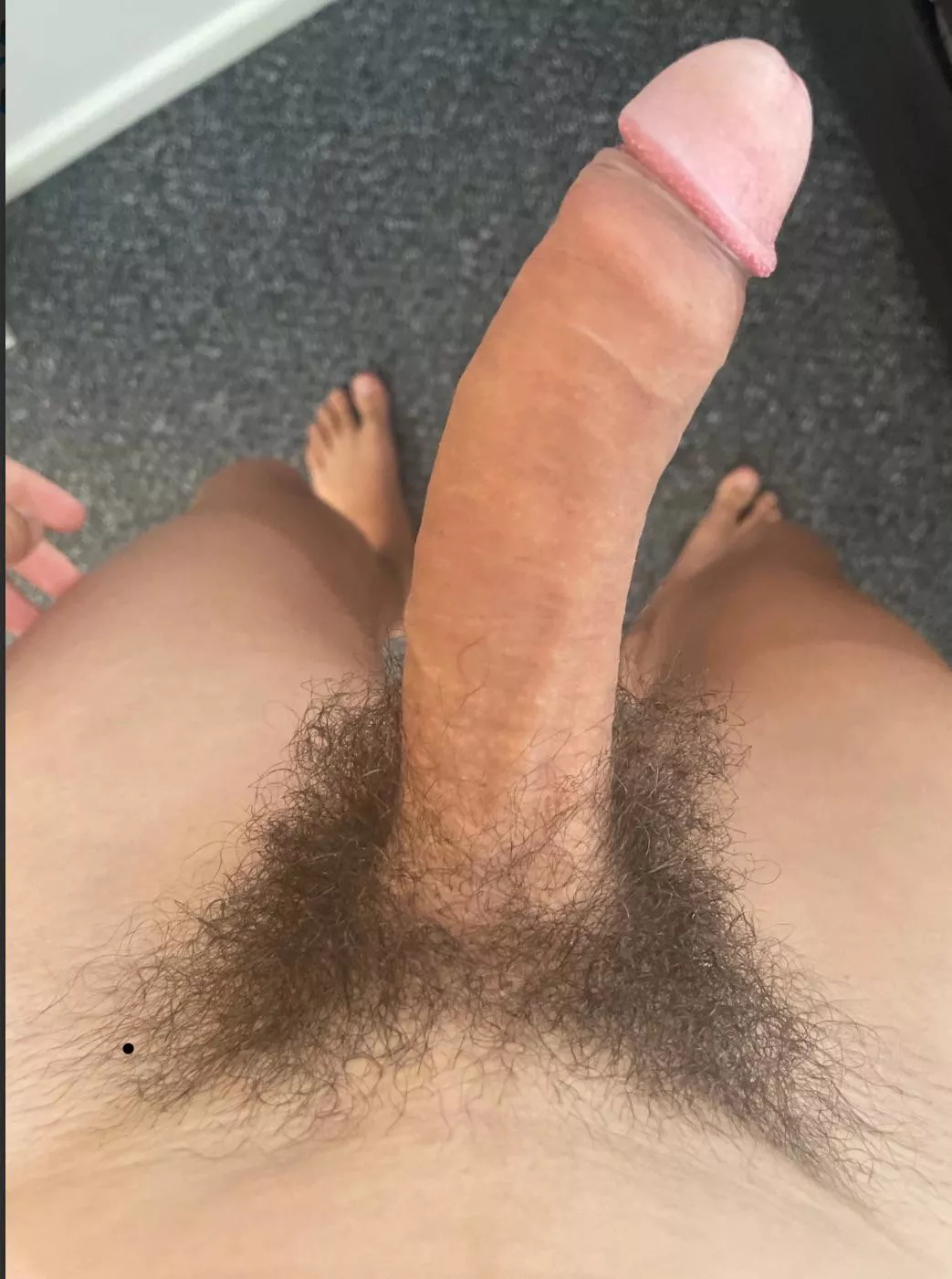 My bush  posted by Muted-Instruction544