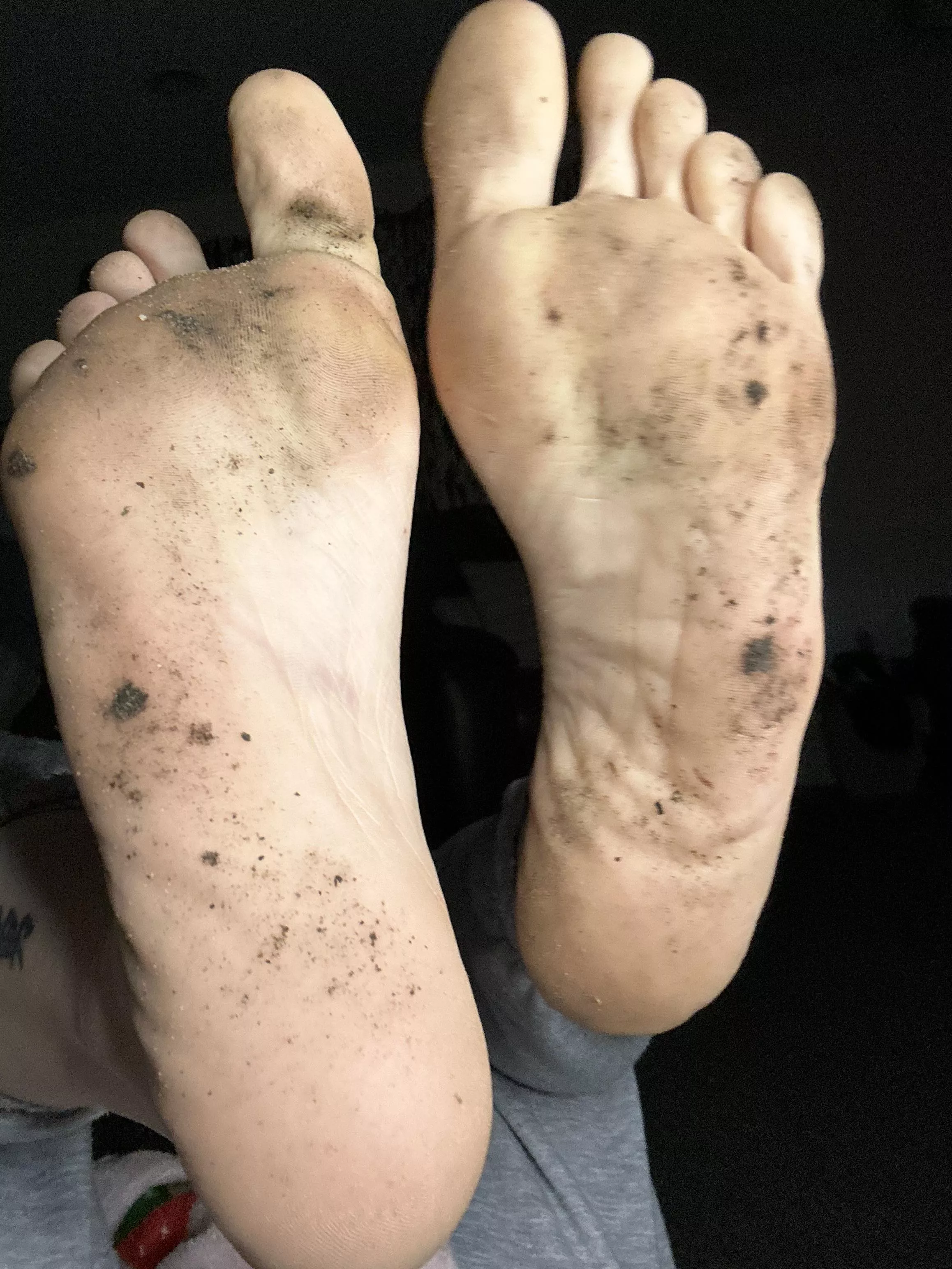 need a clean  posted by xoxrosieraexo240