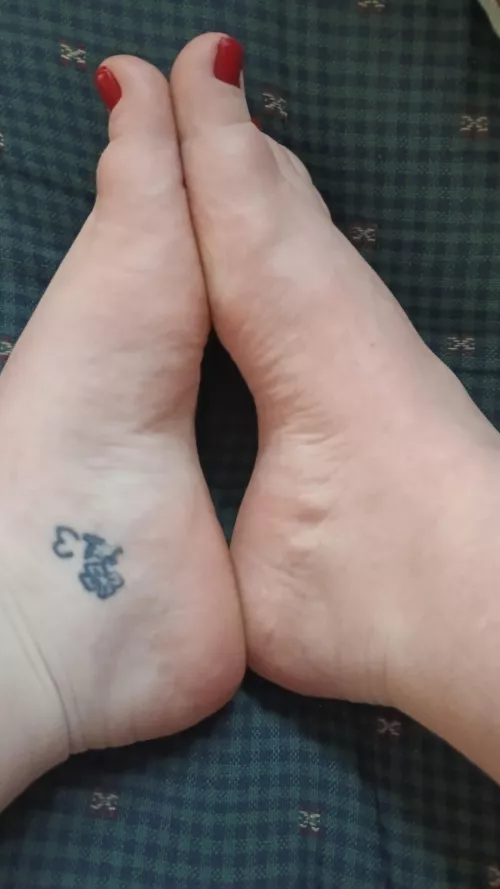 Perfect arches for your cock by naughtybooklover