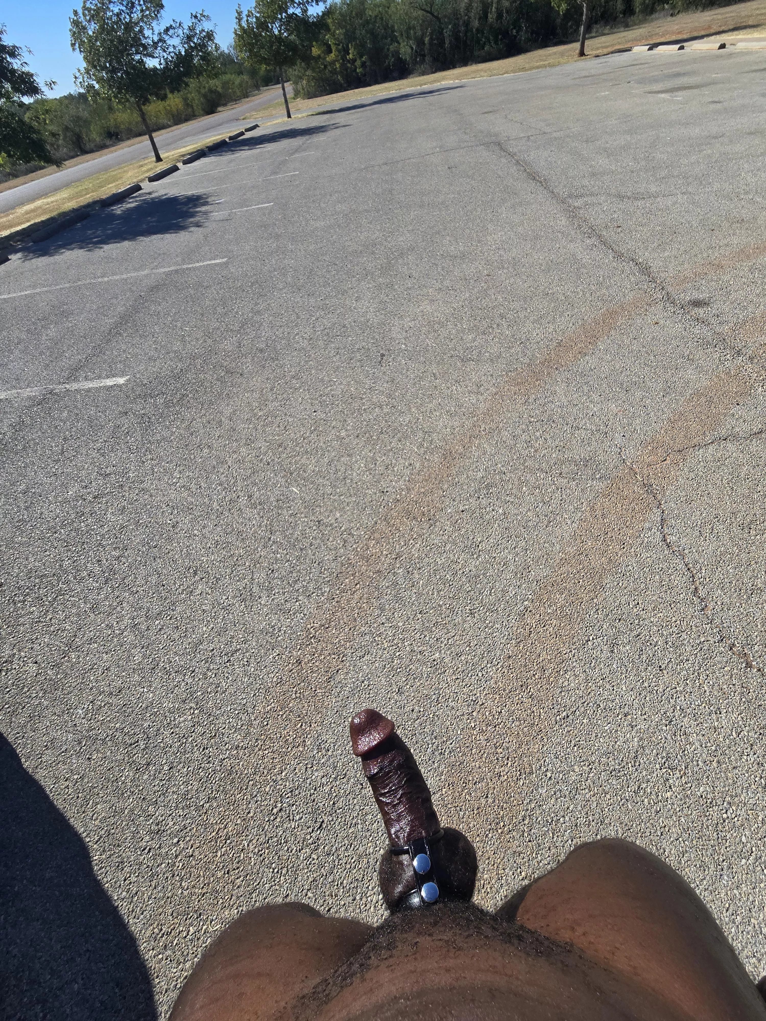 Taking a stroll posted by blkxxxhib