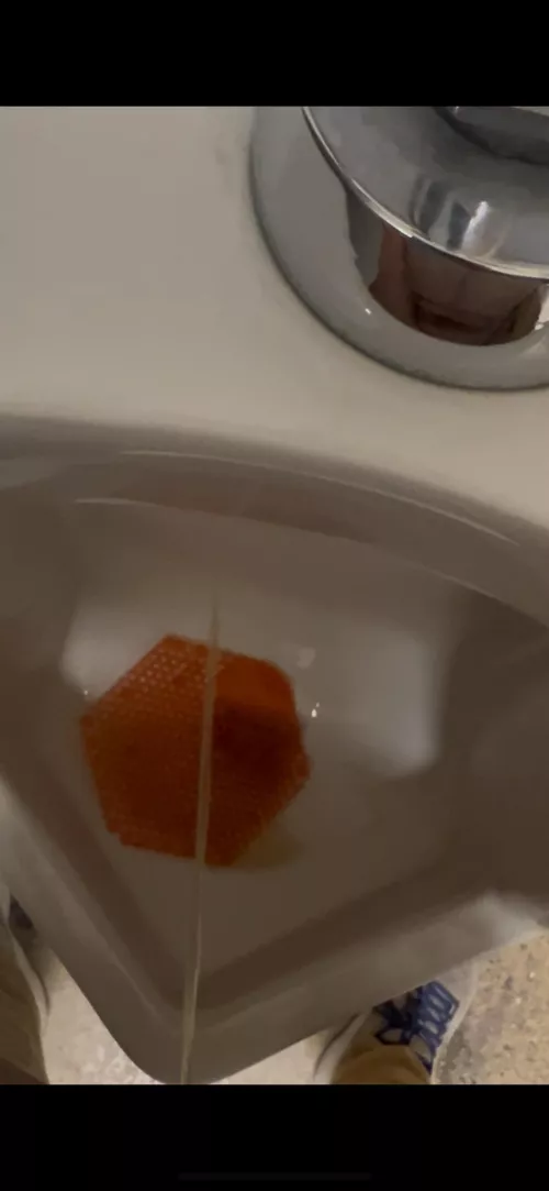 Who wants to trade places with the urinal!? by ProfessorIll8697