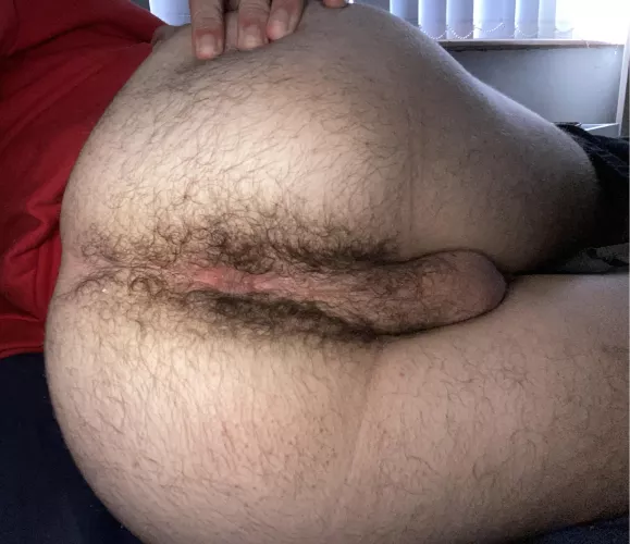 (18) You like hairy ass?😏 by Simple-Ad4127