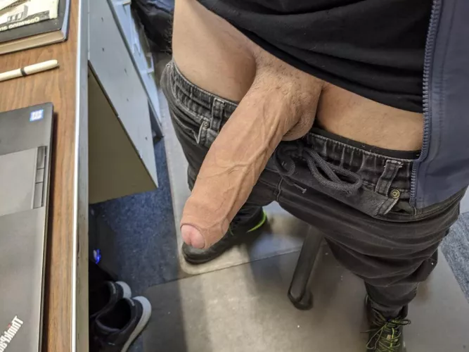 Big enough for you? by Educational_Tip_1194