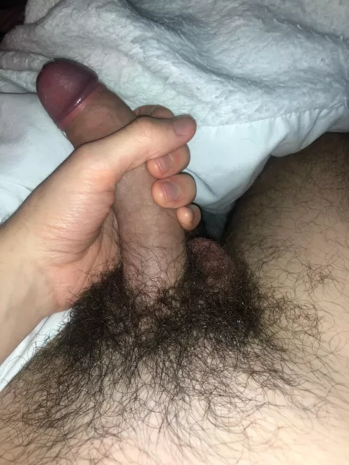 Got a lot of hair going on down there by pootiested