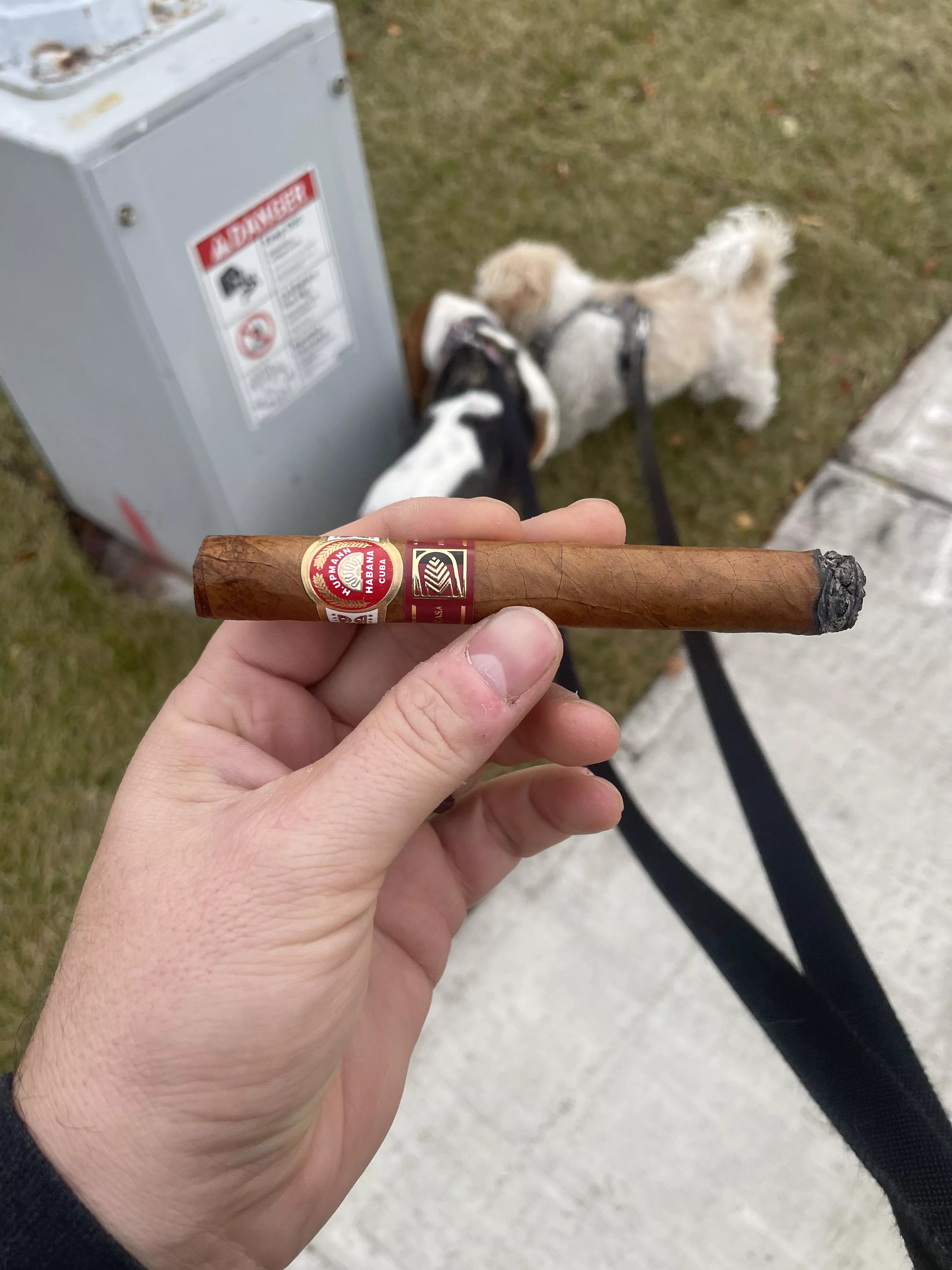 H. Upmann Noella posted by The_Sk00ts