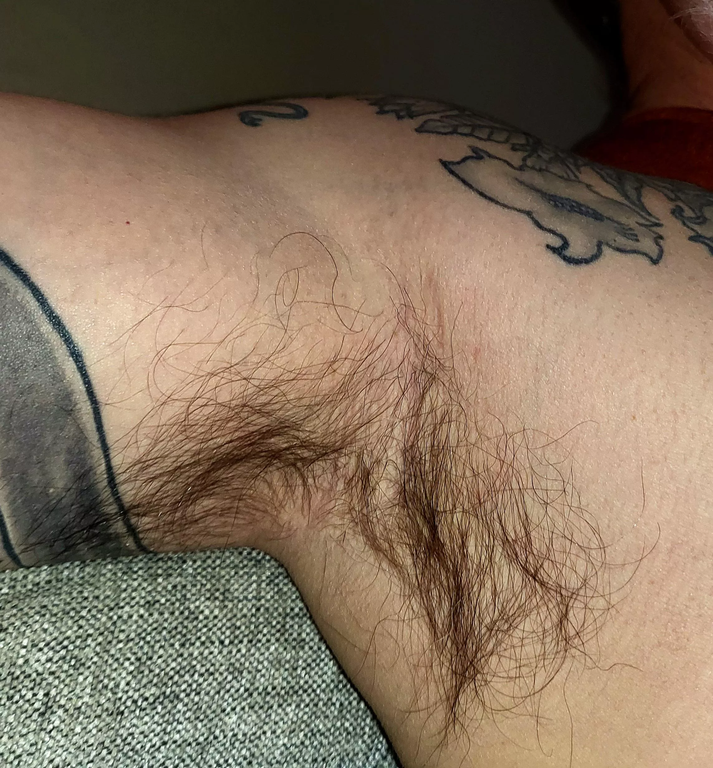 Have a sniff of Dad's pit posted by Frotbuddy_Fan