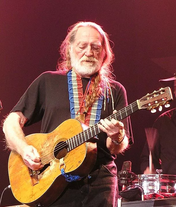 How about Willie Nelson and he just puts people into headlocks with his dick posted by MacroDemarco