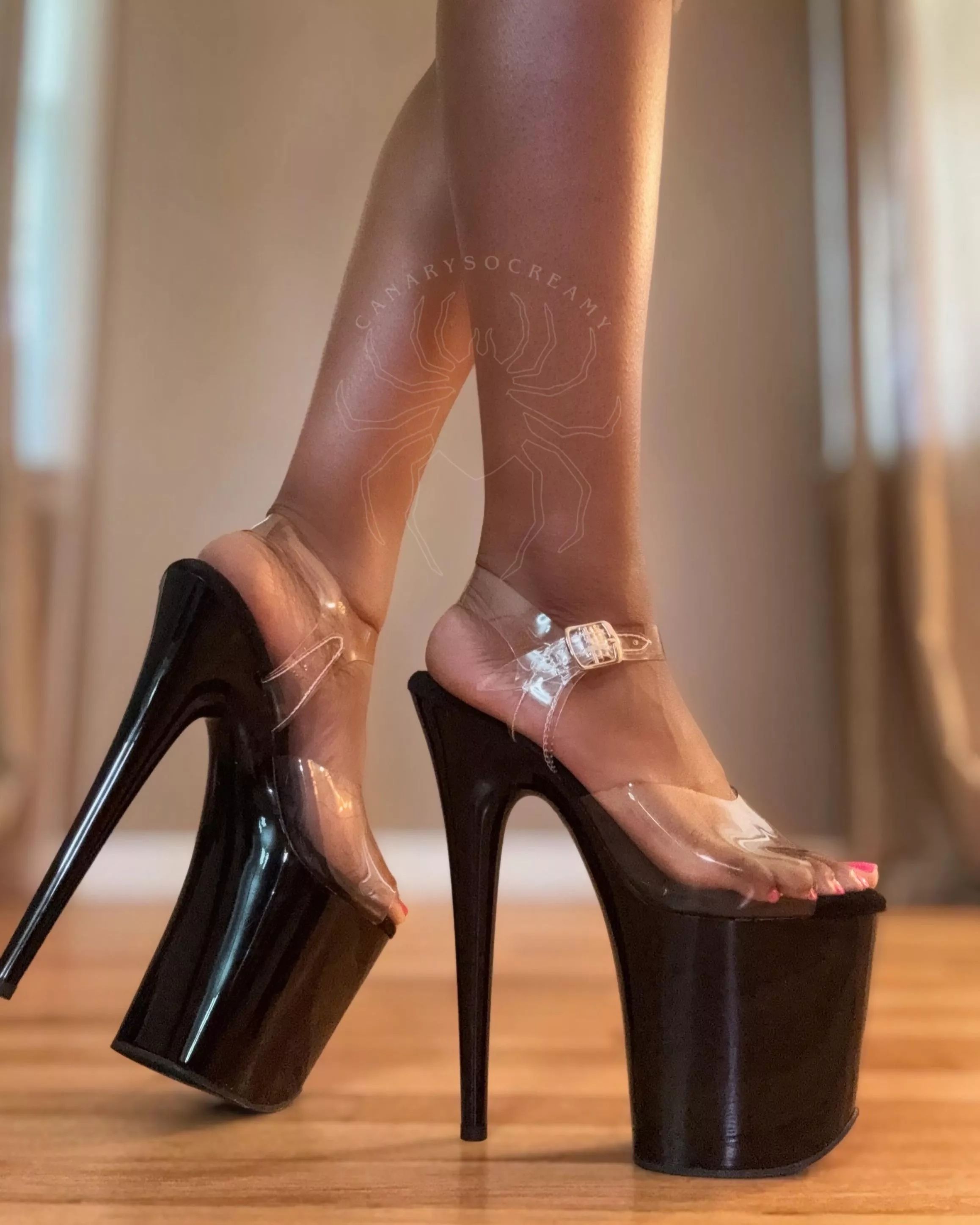 how’s the view?  posted by bbyluvluxx