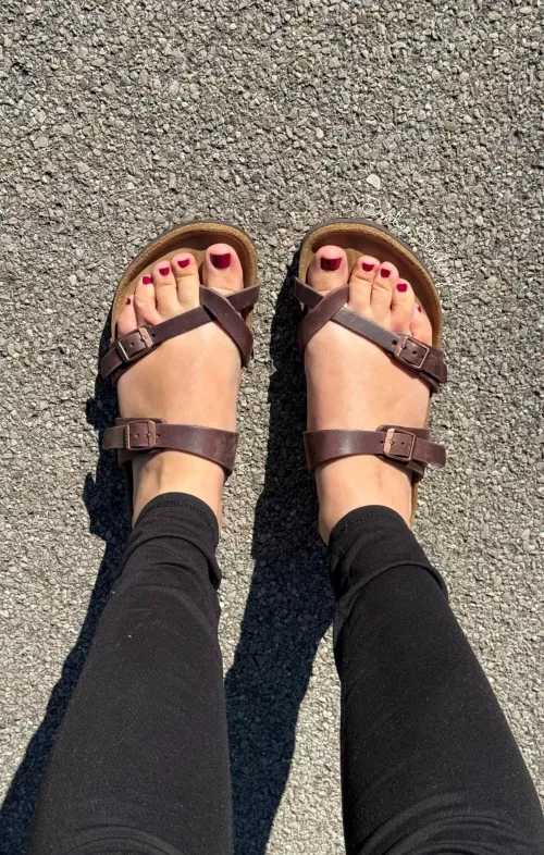 I finally got a pair of Mayaris! 😍 How do they look?  by embersterling11