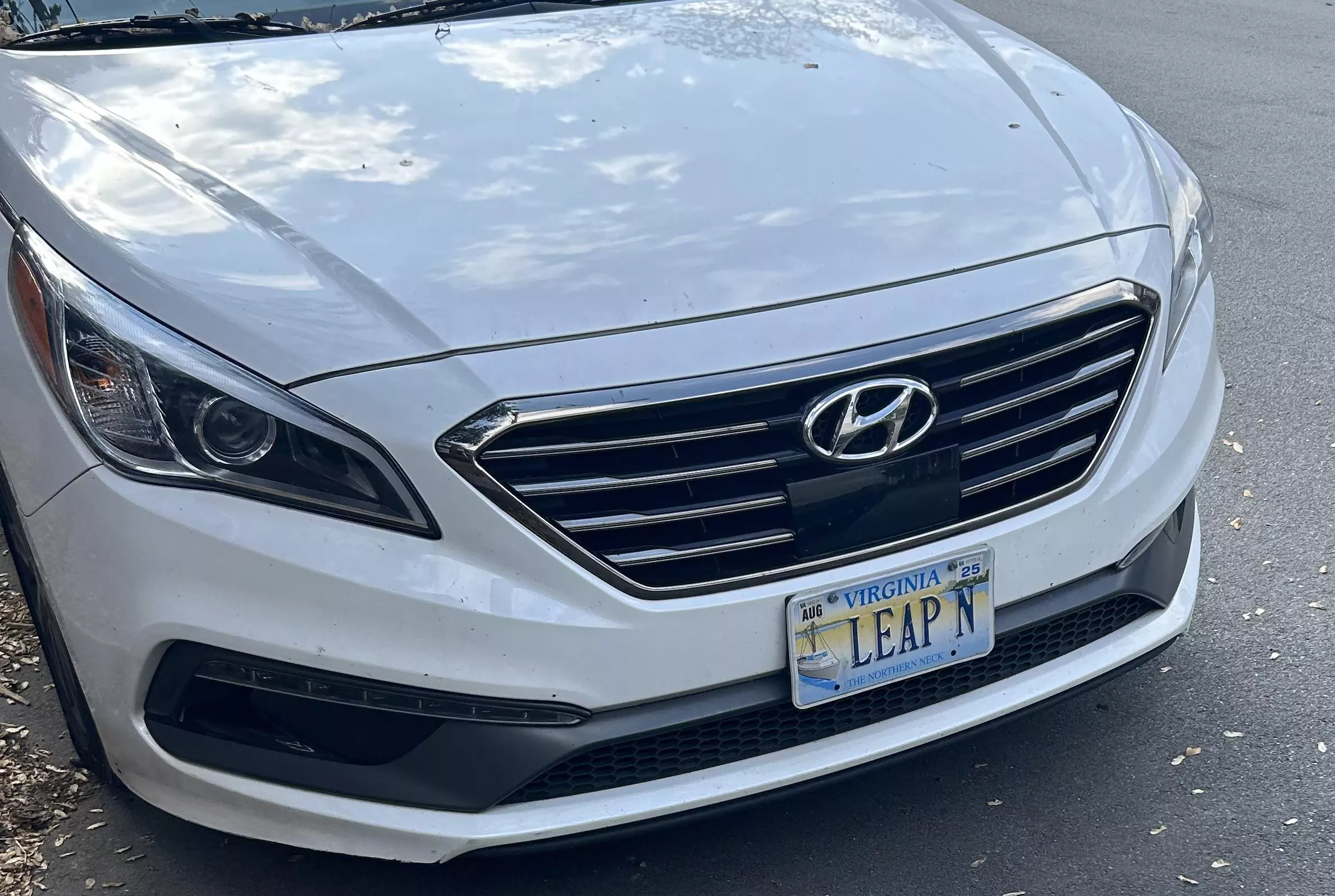 Is this what they call you when you black and born on February 29th?  posted by juwanna-blomie