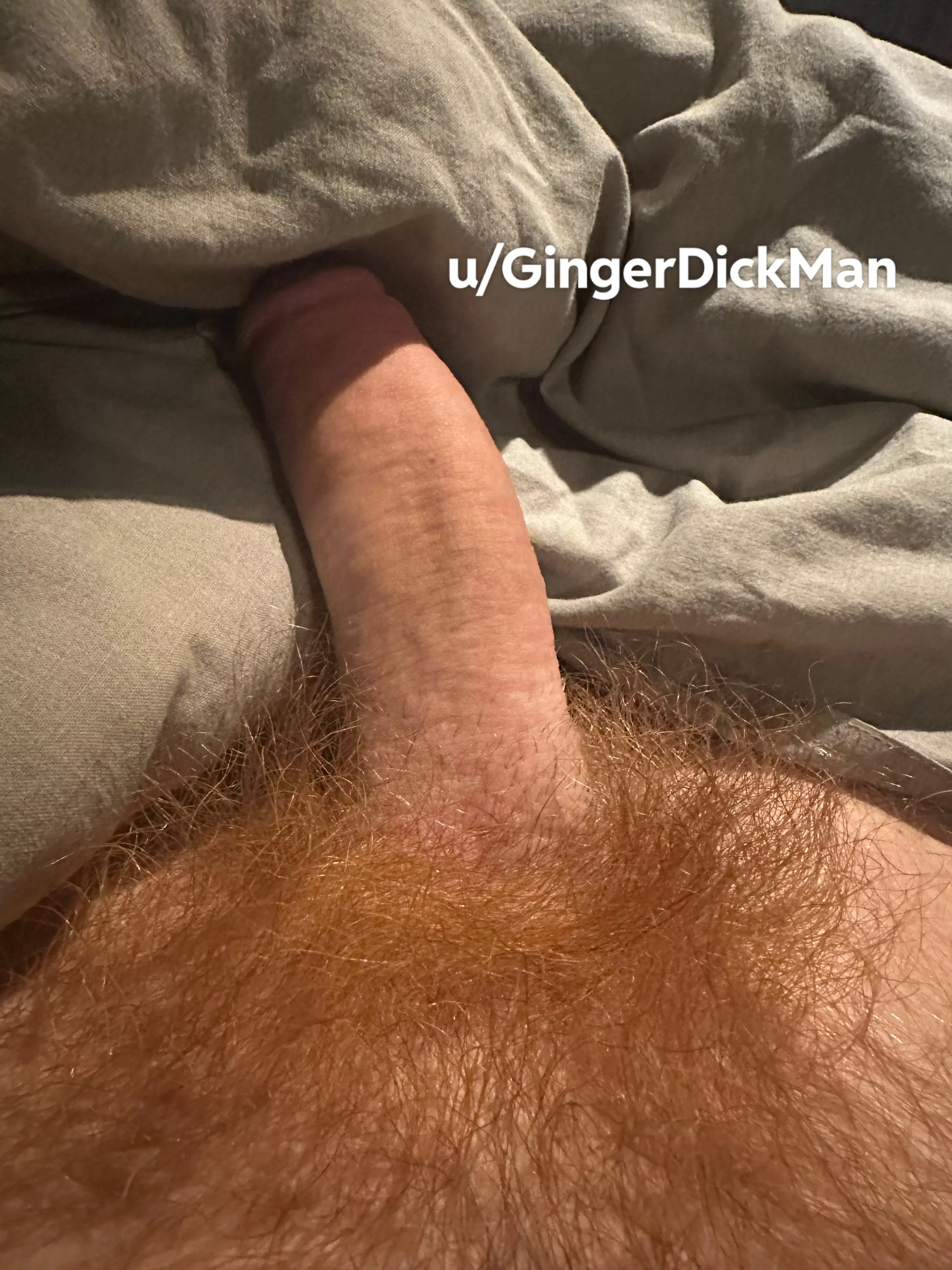 My hair is so long and red. Hope you don’t mind that  posted by GingerDickMan