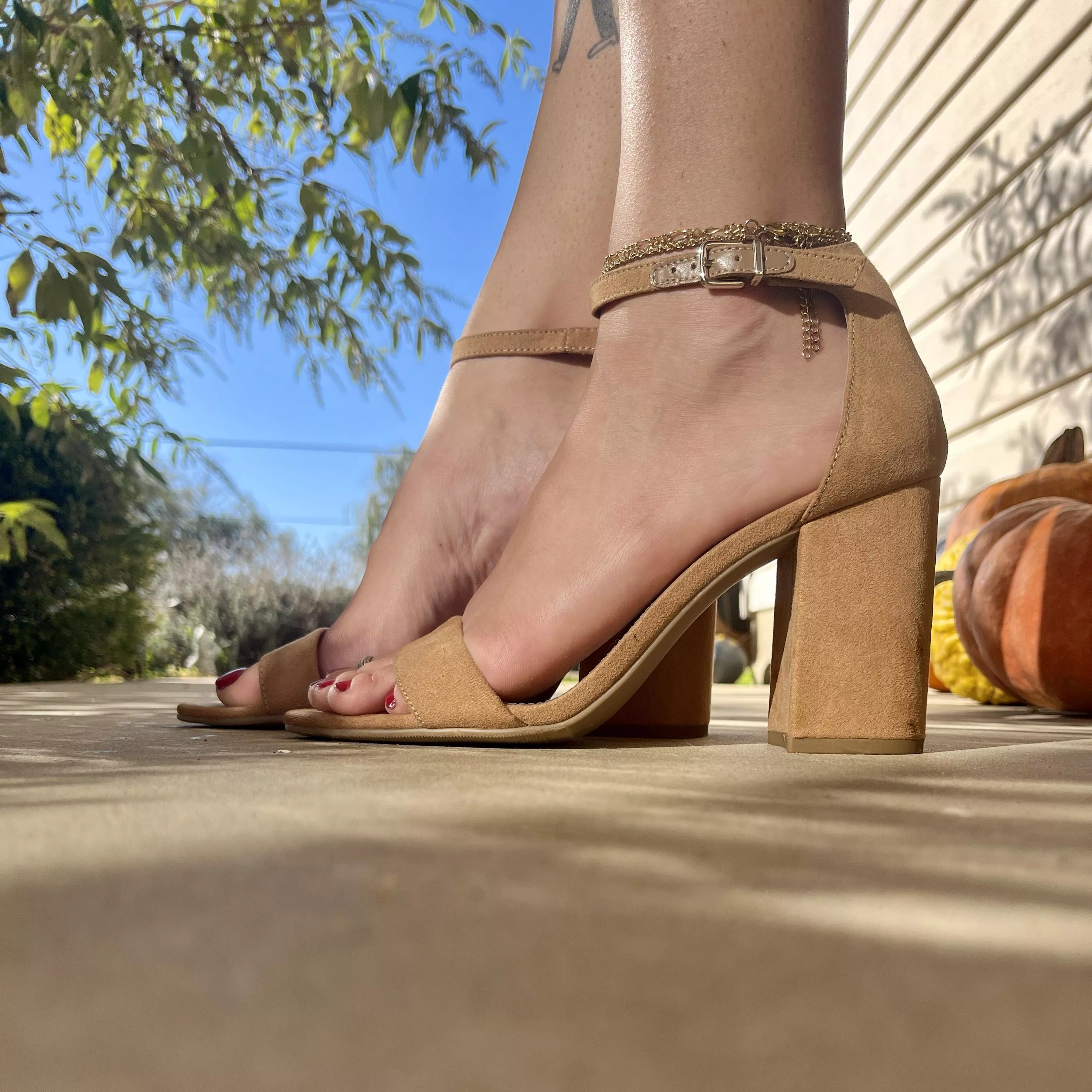 Off to show these babies to the world posted by Vera_bee666