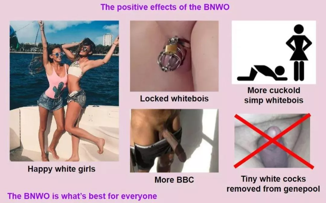 Positives of the BNWO posted by chariotinthesky