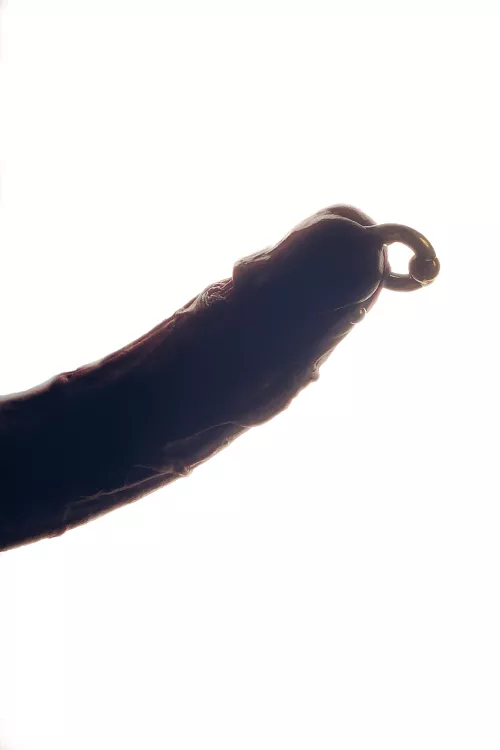 Studio picture  by CoopM88