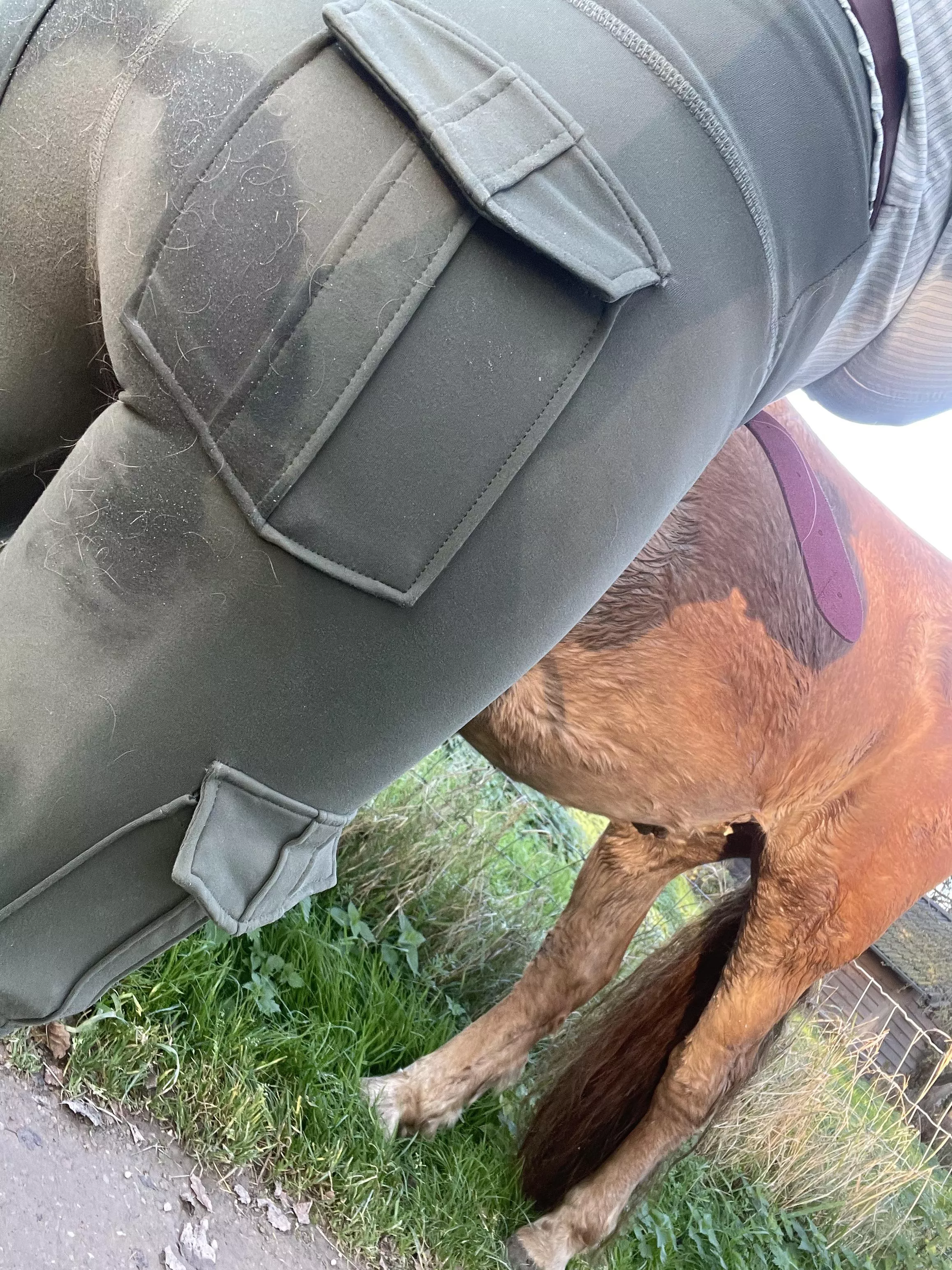 Sweat bum from bareback riding posted by queensasjaluna