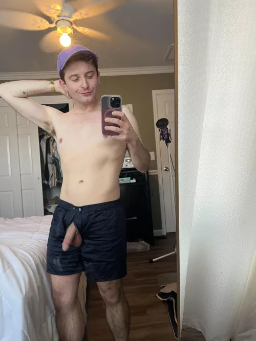 through the fly, come say hi by modusxoperandi