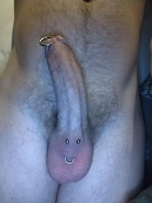 What do you think of my piercings? by DavidpiercingPA
