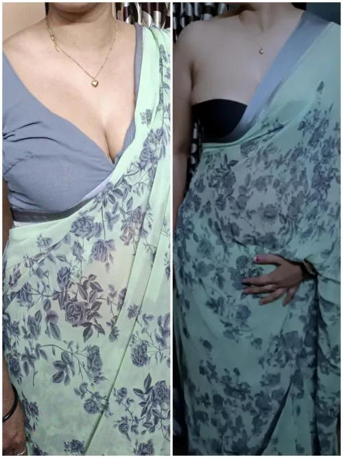 Which one is best with blouse or without  by rinasaxena