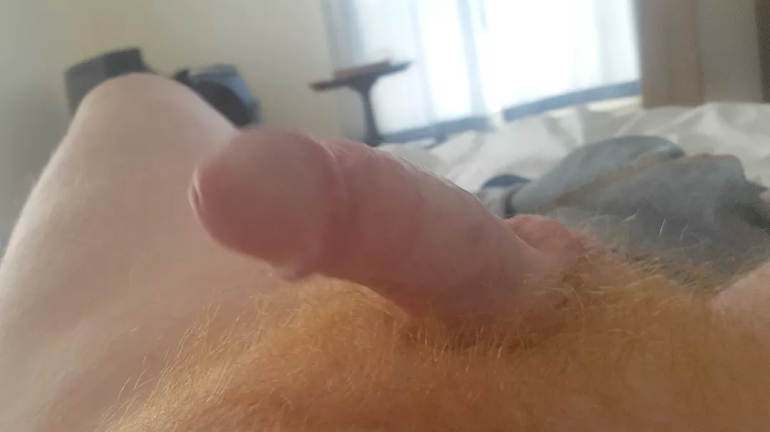 Would anyone like to enjoy this  posted by General-Ad-1899