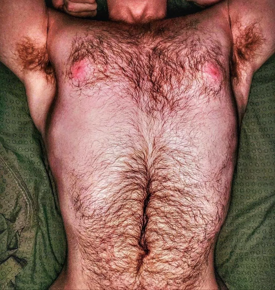 Would you lay on my furry chest ? (24) posted by GingerGamerReddit