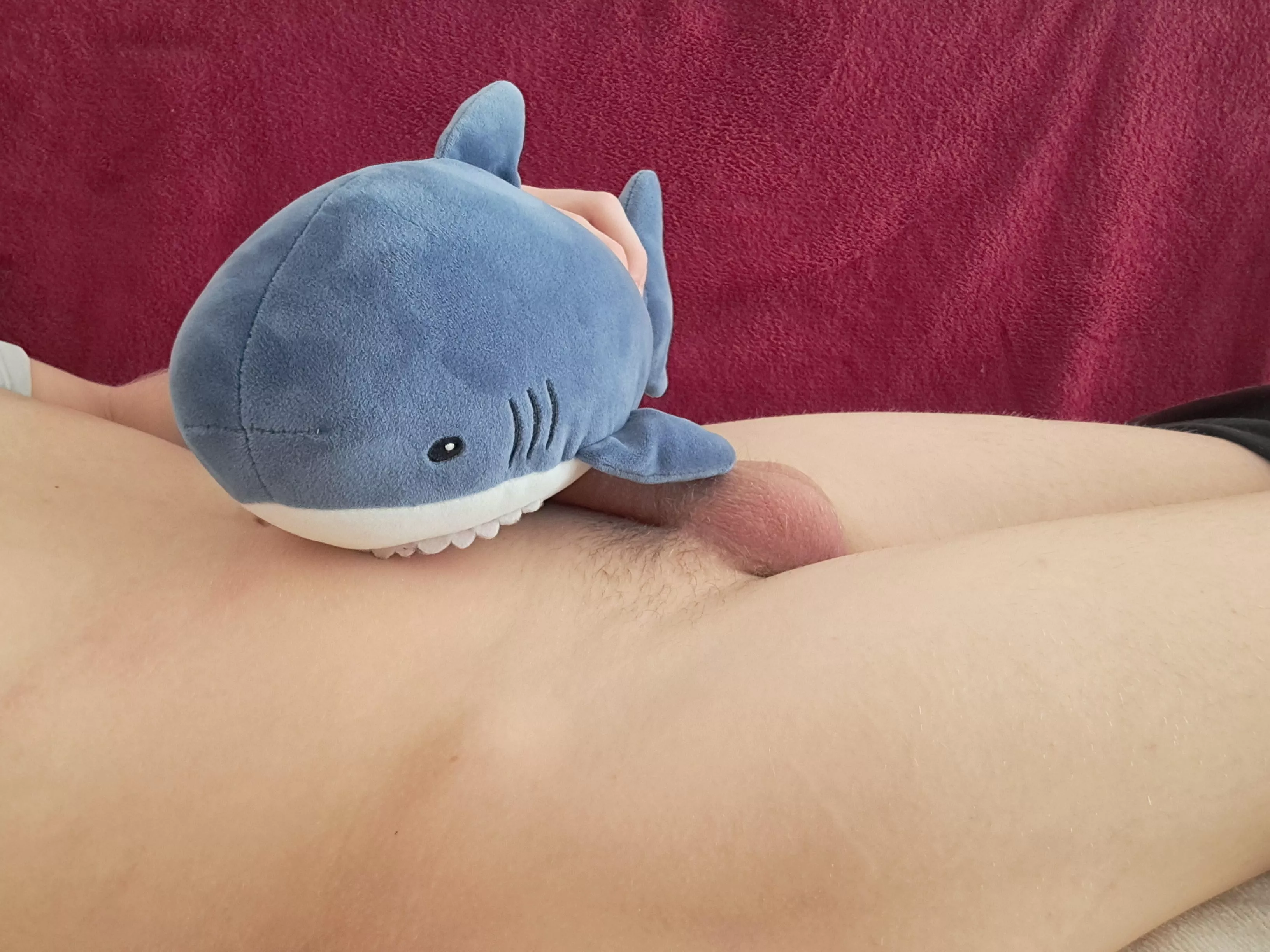 [18] Would you replace the shark with your mouth? posted by h-alex18