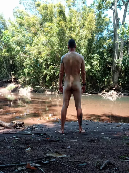 (40M) Spring in my country  by ClaimAffectionate633