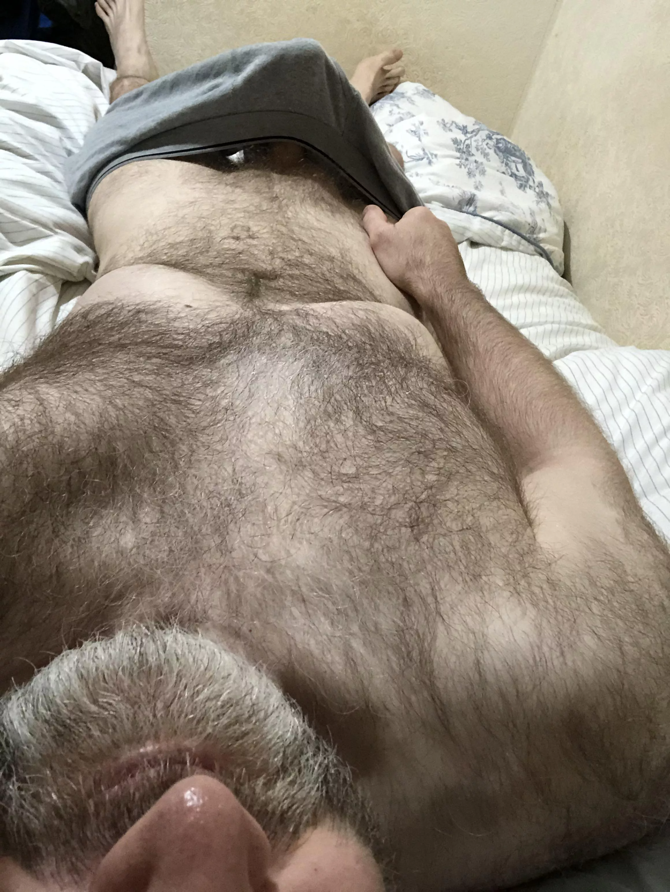 [49] English silver fox waking up  posted by Mrsparkles7100