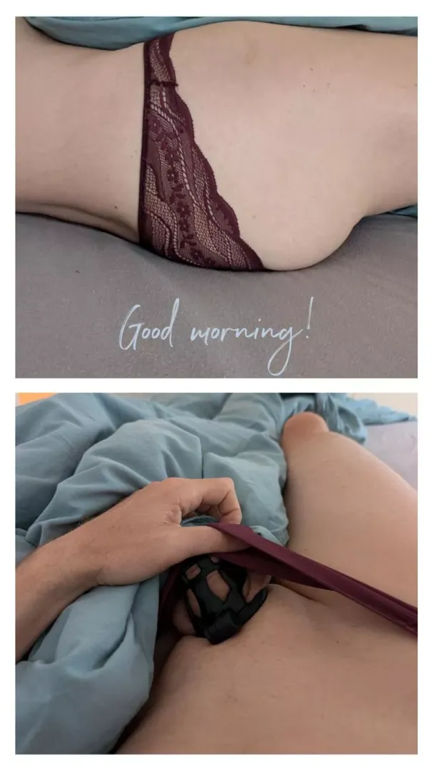Guten Morgen!!! posted by Klarsicht1