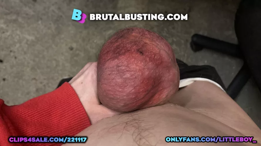 His fucking testicles look disgusting after an electric mixer 🤯🔌🖕🙋‍♀️💫💋 - Dave Moon - Jennifer - Vanessa - Marek - BrutalBusting by brutalbusting