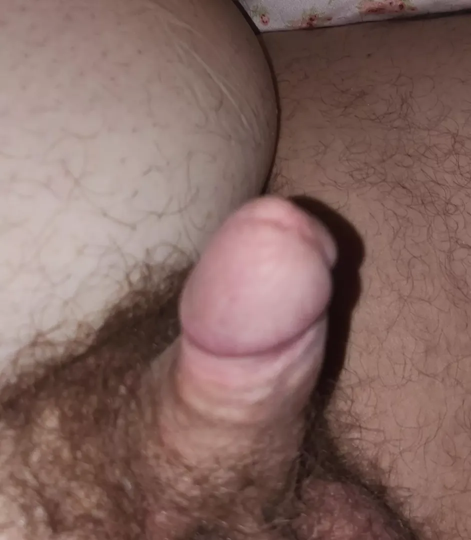 My tiny cock posted by Arealniceguy1978