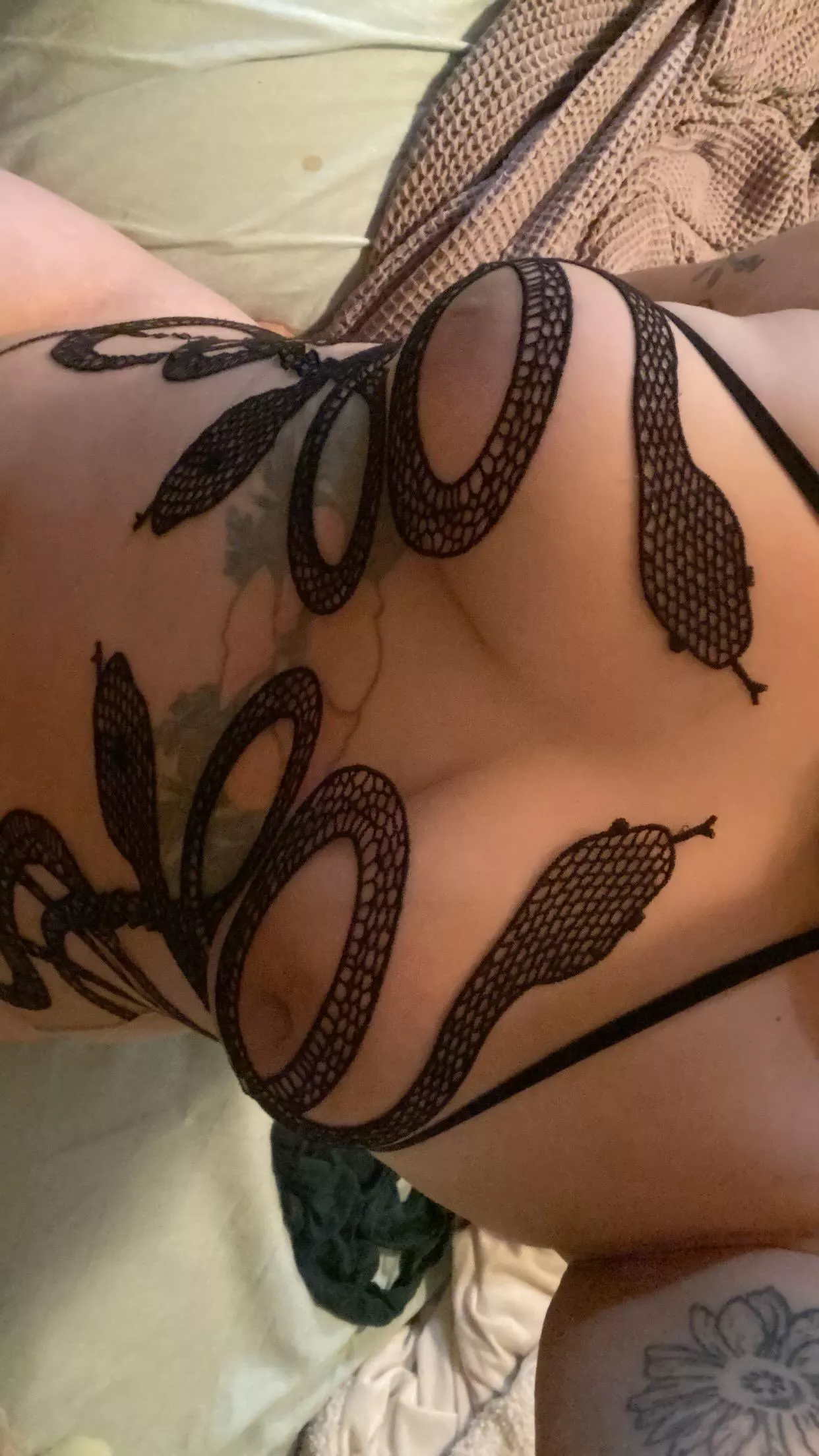 New bodysuit 🐍 posted by YaseminFuches