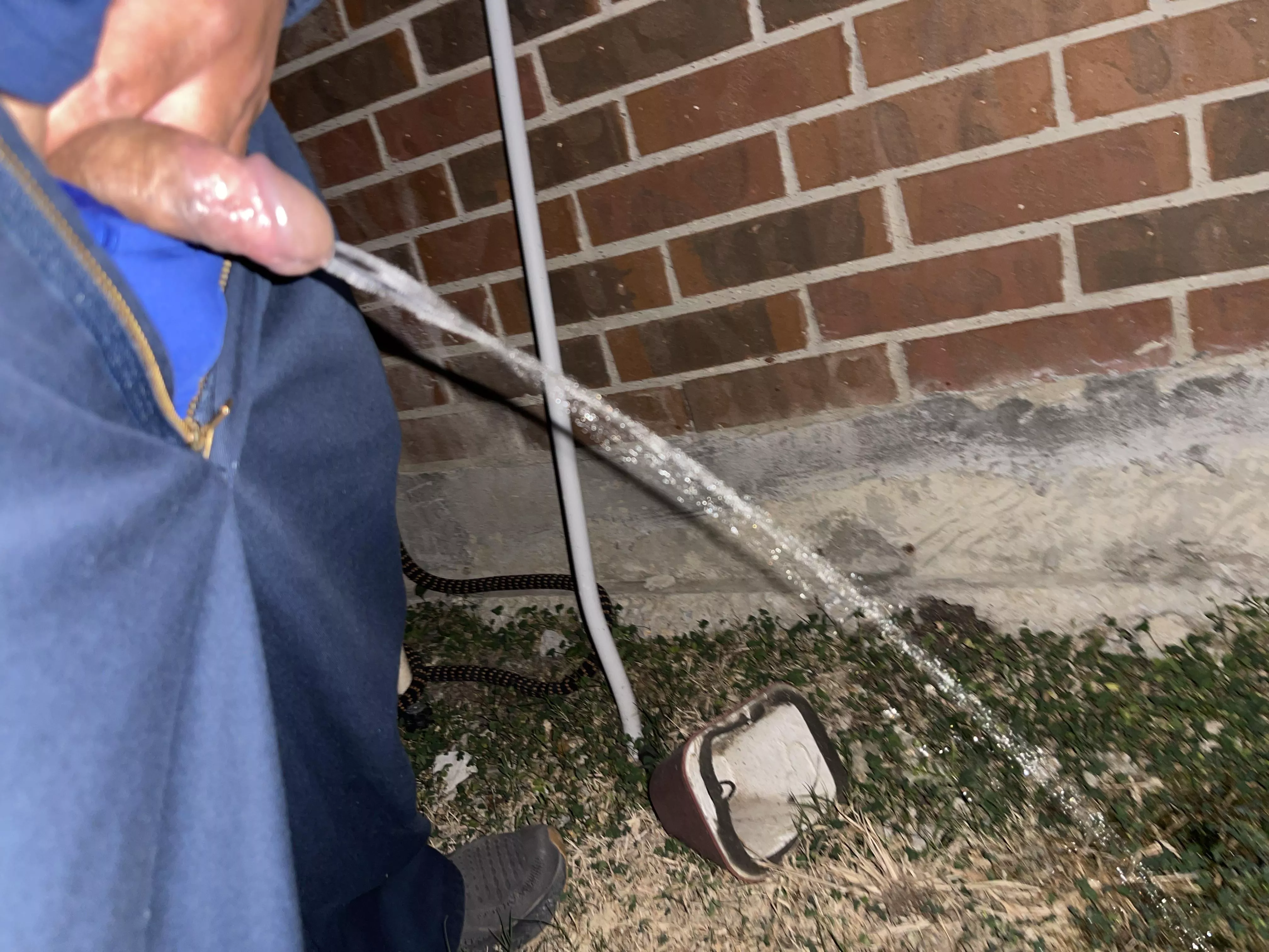 Outdoor beer piss.  posted by modelotyme