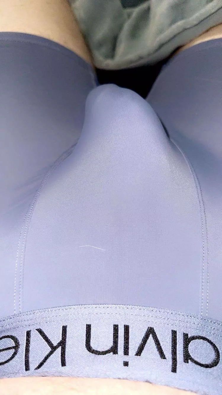 Outline posted by Brilliant_Mail_1122