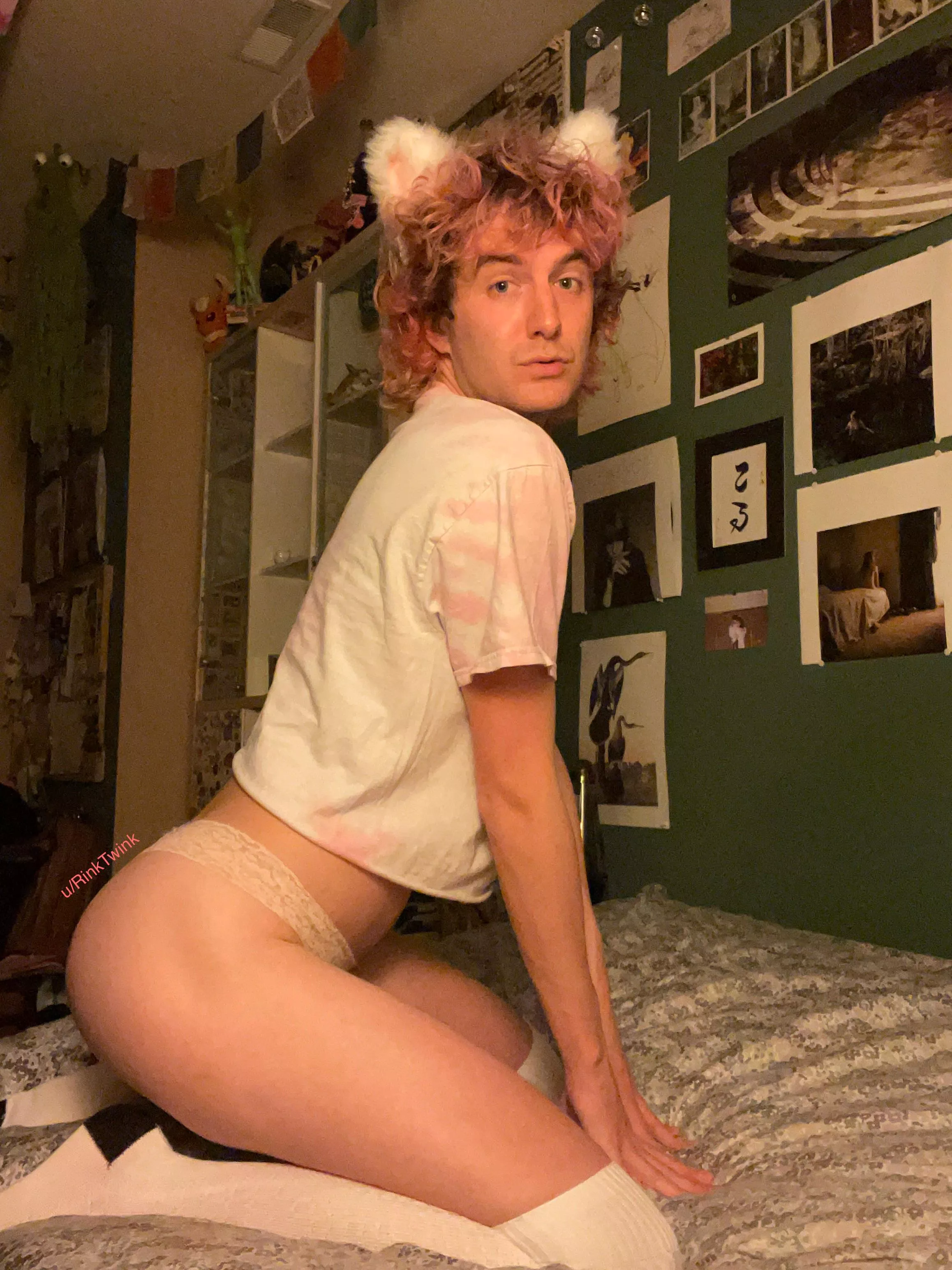 should i be a cat for halloween? (again) posted by RinkTwink