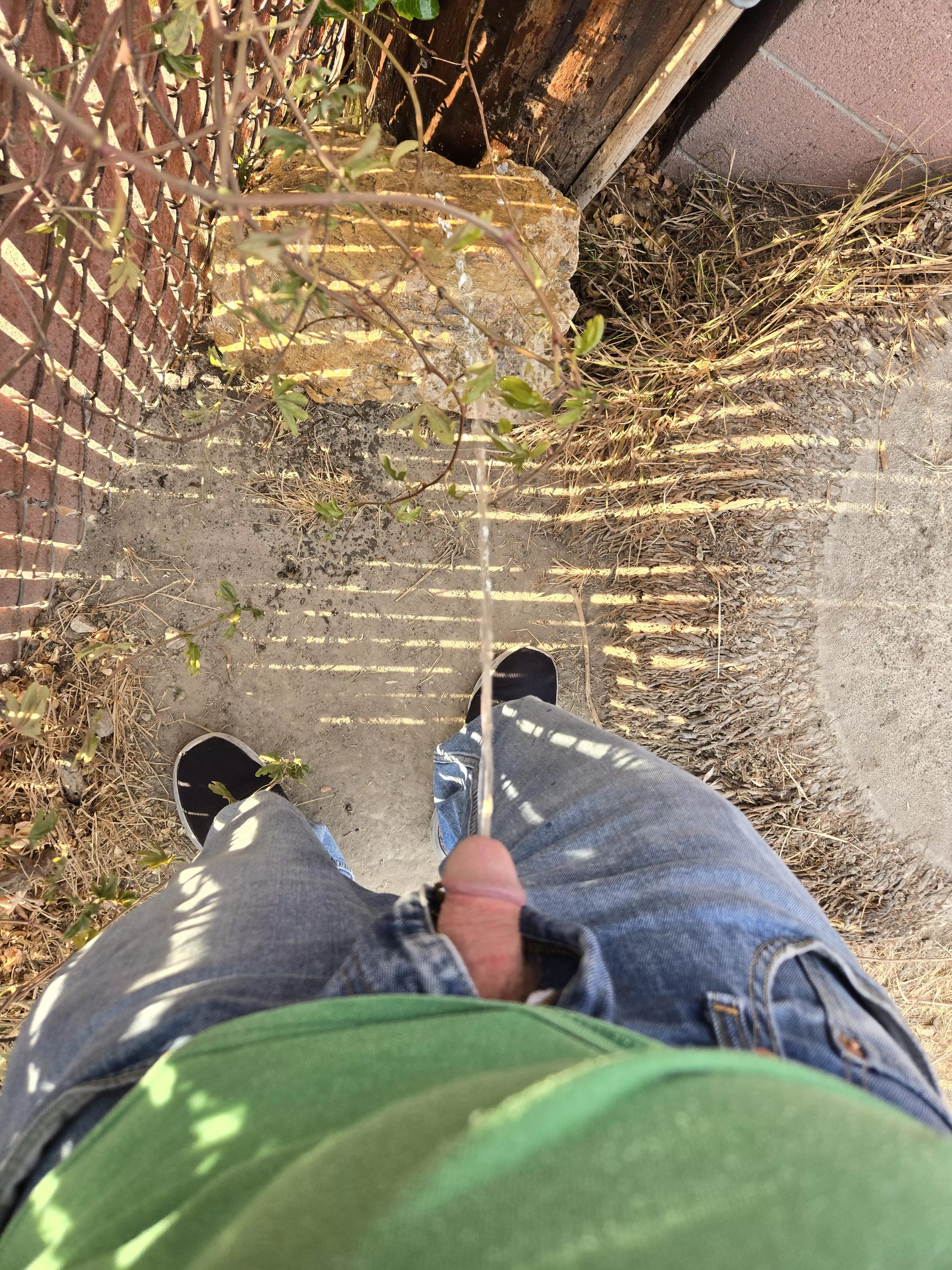 Too many beers at my buddies house requires back yard pissing posted by Homo_gone_wild