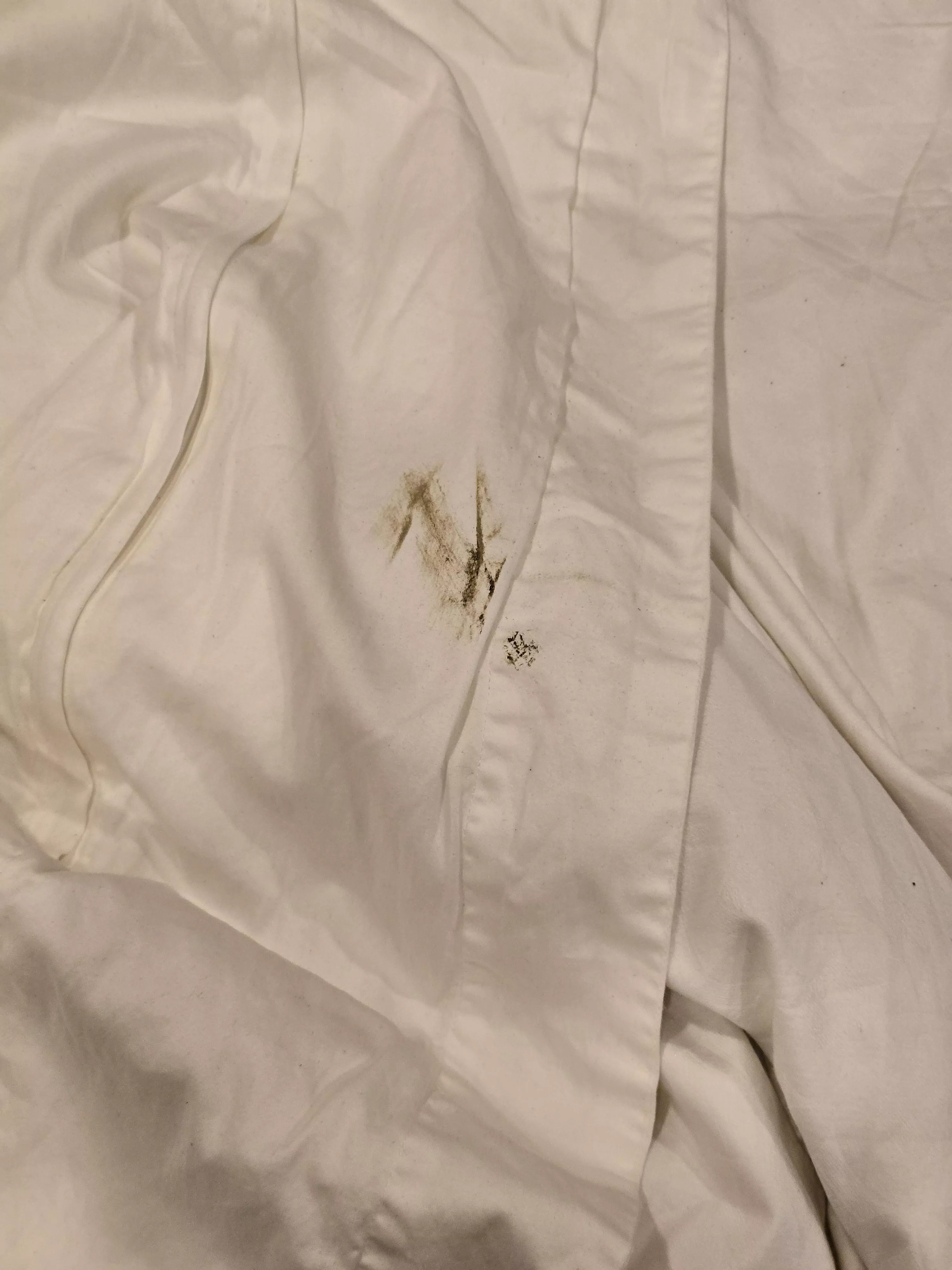 What did I do to deserve this?!? JFC, it happened AGAIN!💩🤢🤢🤢 posted by Gold-Record2579