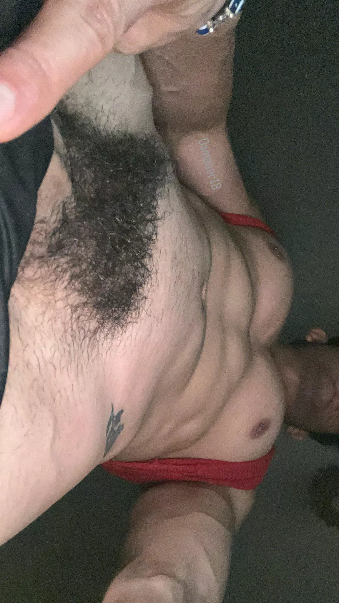 Where are my bush lover  ? posted by Oscoor18