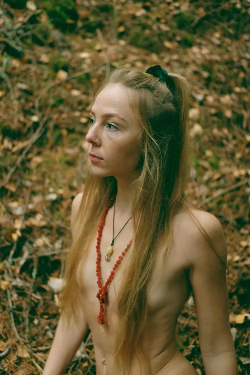 Wonderer by Artanni55