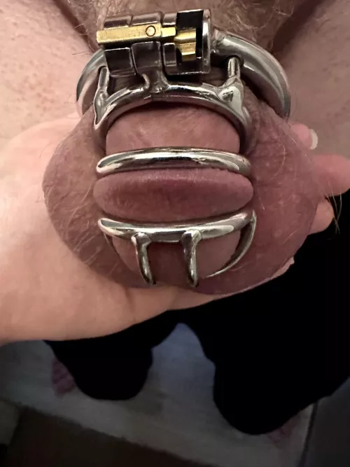 Any love for a locked cock?! by Pwrbtmcn